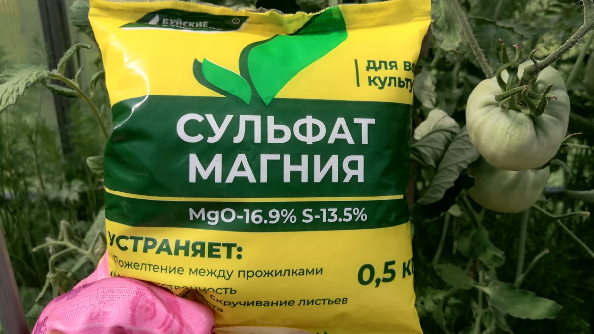 Обращайте внимание на состав: в июле такие удобрения лучше отложить