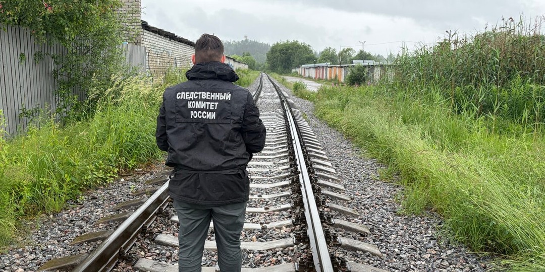 В Карелии поезд насмерть сбил пожилую женщину