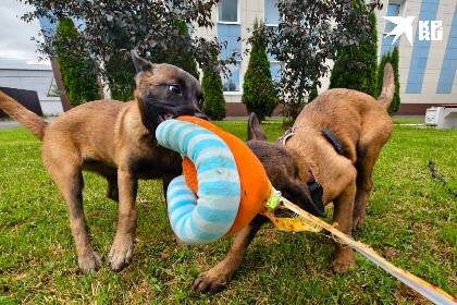 -2
