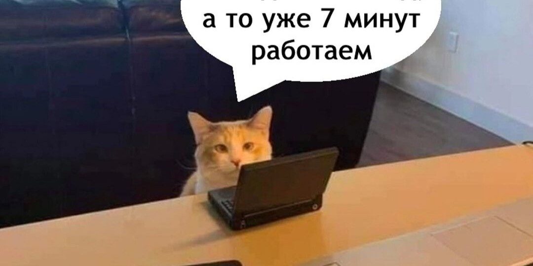 Мемы о жизни