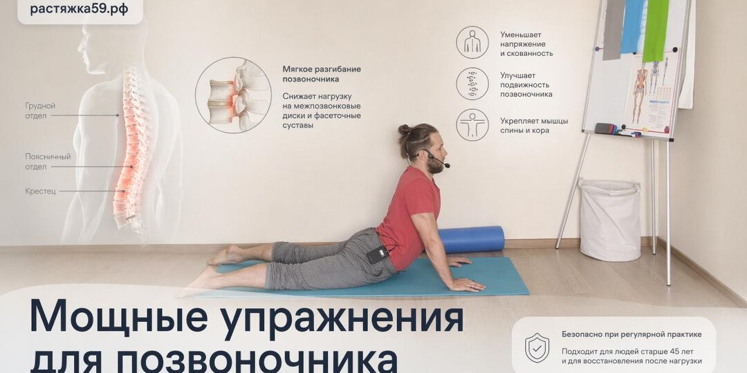 Мощный комплекс упражнений для позвоночника: сила и подвижность