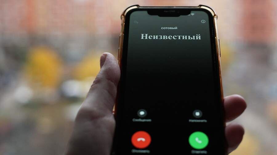    Фото: ИЗВЕСТИЯ/Юлия Майорова
