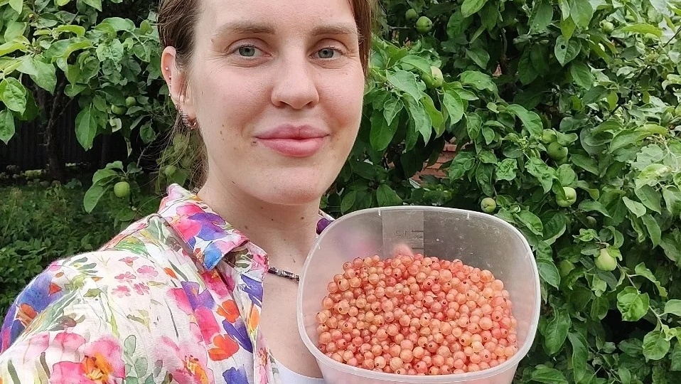 Ревеневый пирог