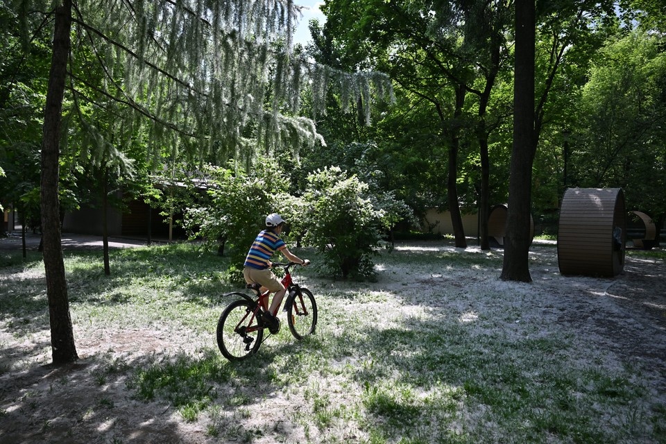    Фото: архив "КП". Иван МАКЕЕВ