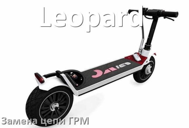 
Замена цепи ГРМ скутера Leopard самому