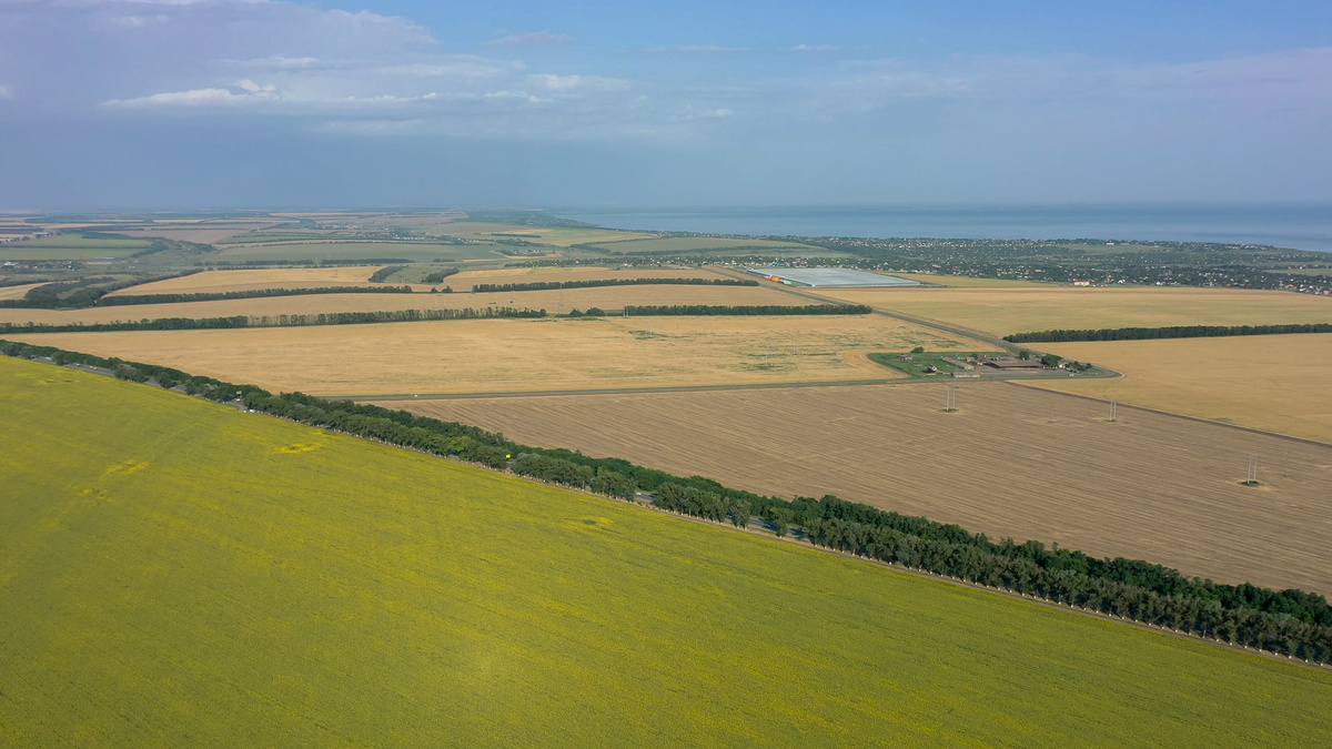 
Власти республики намерены поддерживать фермеров / Фото:  Vostok.Today.
