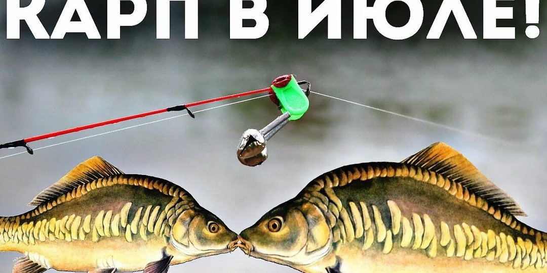 Поток полезных советов по ловле карпа в июле.
