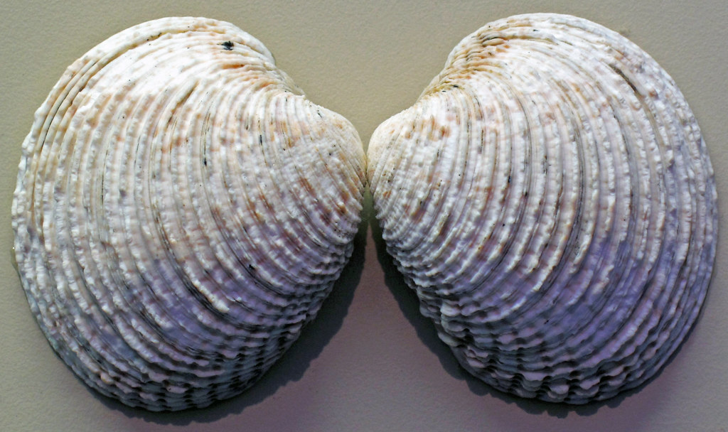 -1-2