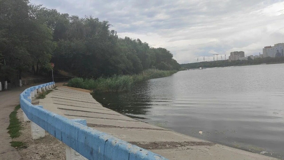    На благоустройство парка «Дружба» в Ростове могут выделить средства в 2027 году   Яндекс / «Яндекс. Карты»