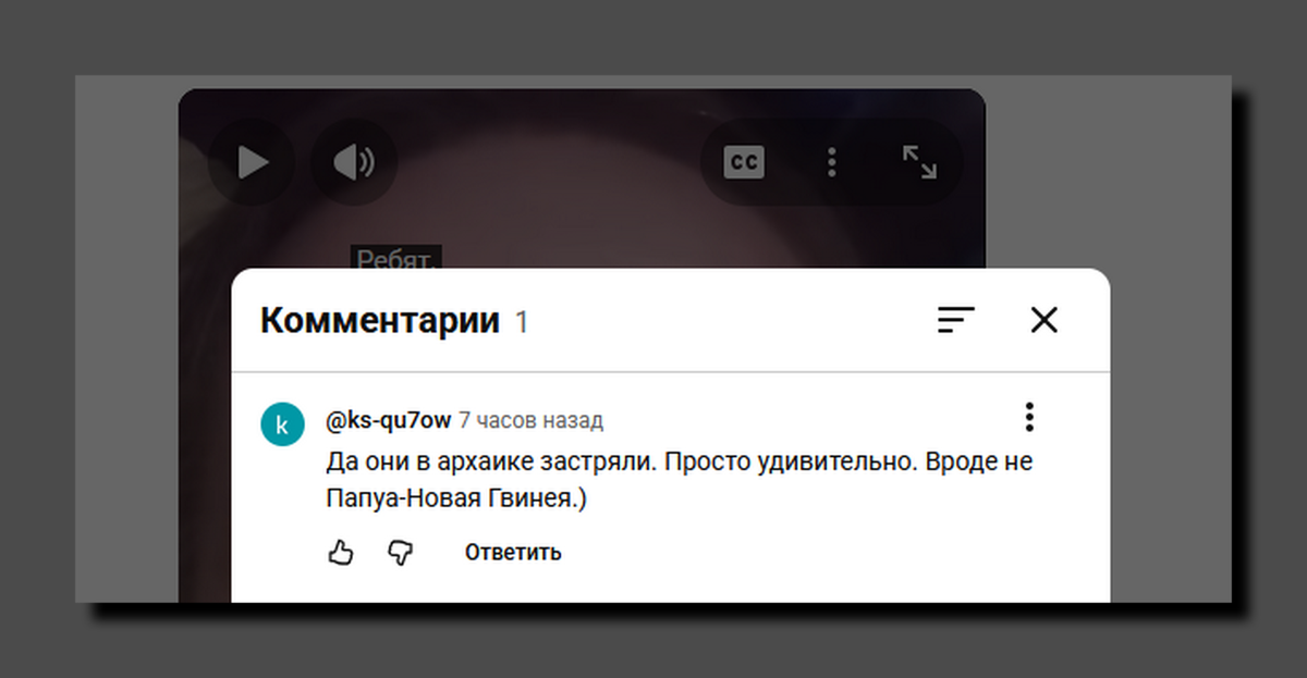Скриншот https://www.youtube.com/@alisaxuexi