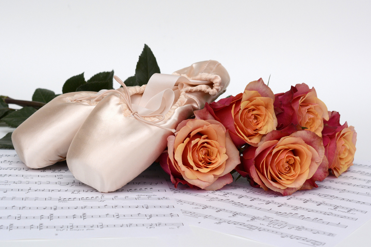 Пуанты и розы // Фото: Pixabay / annca