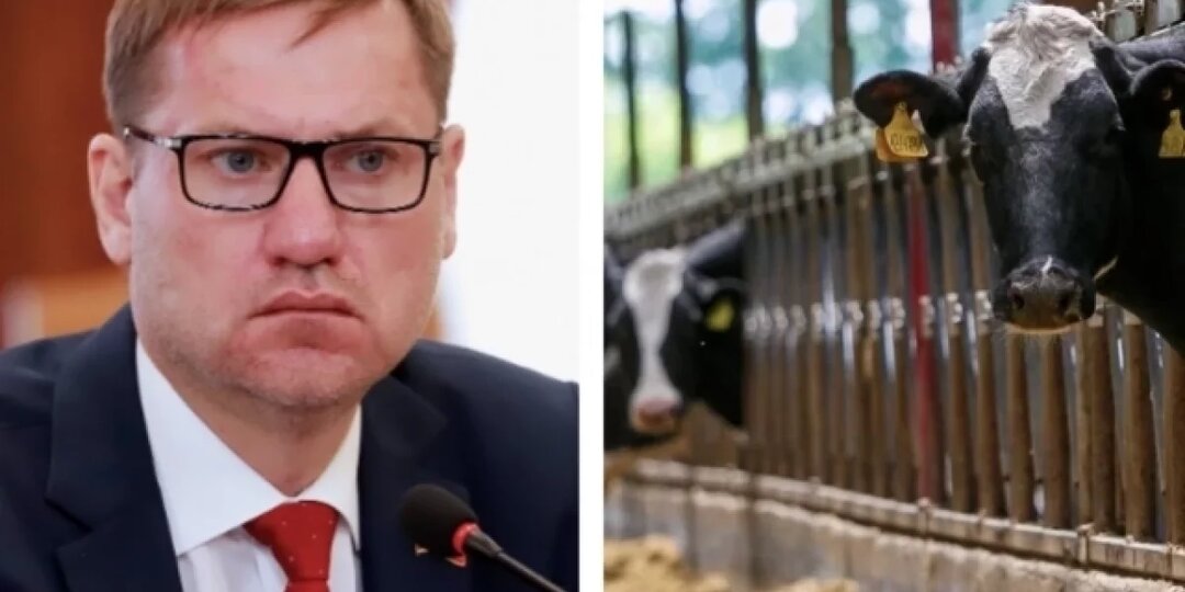 В Новосибирской области дефицит дизеля грозит аграриям забоем скота