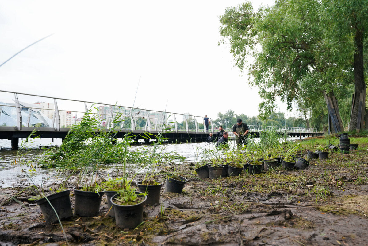 Фото предоставлено Институтом развития городов Татарстана