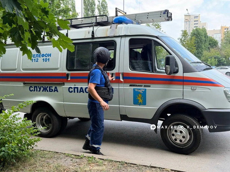     Фото: официальный канал мэра Белгорода Валентина Демидова