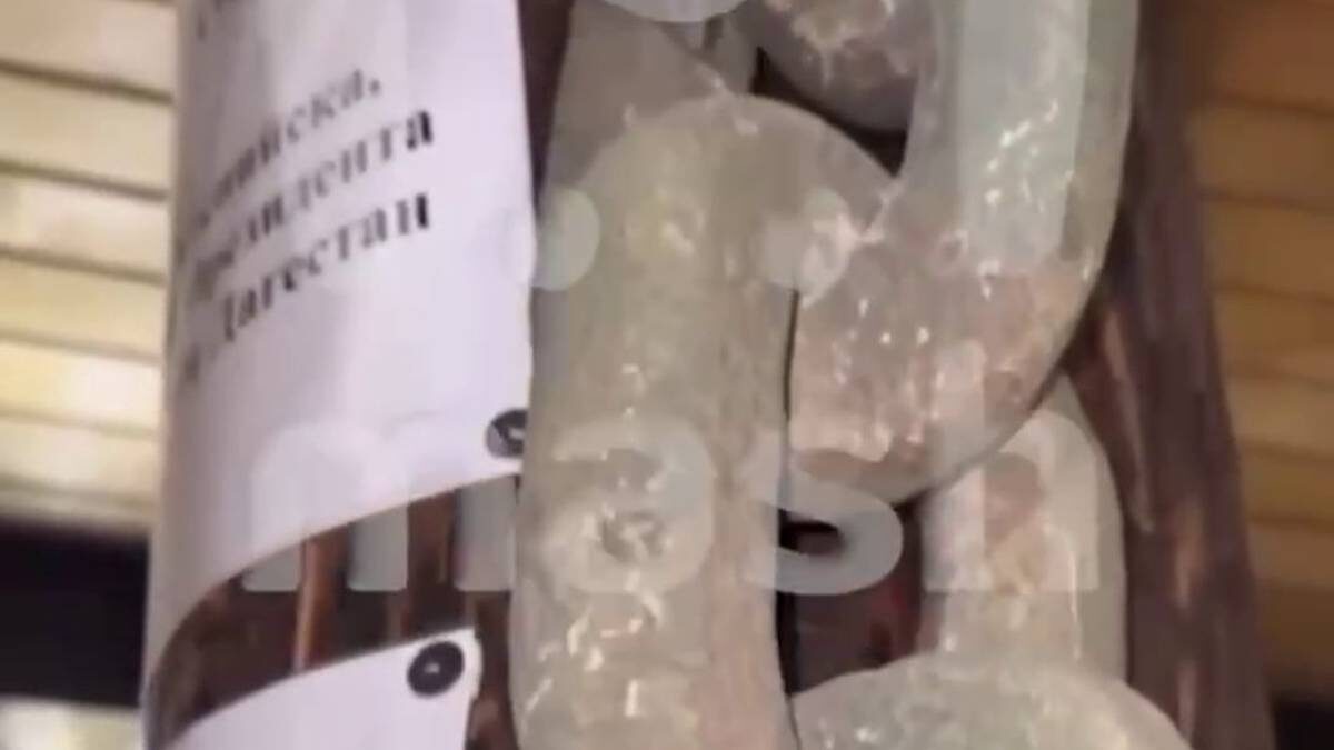    Фото: скриншот видео / Mash / Telegram