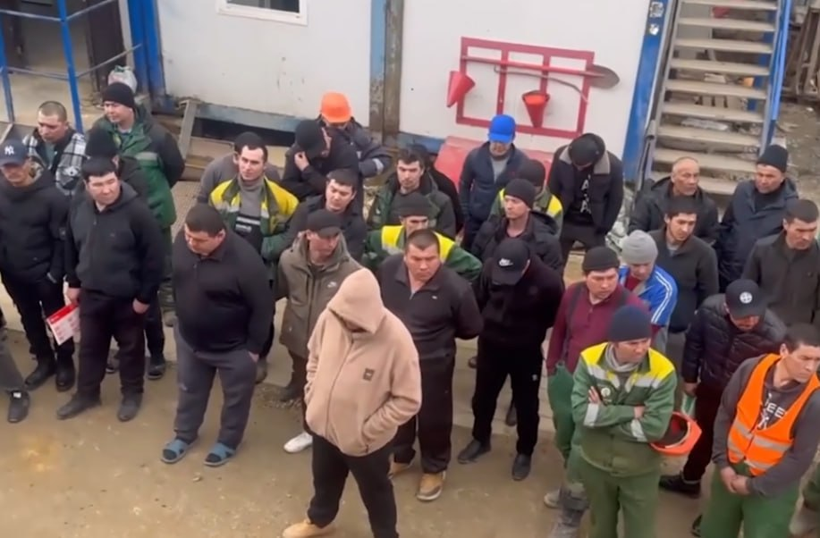 Фото: Prt Scr rutube.ru / МВД МЕДИА