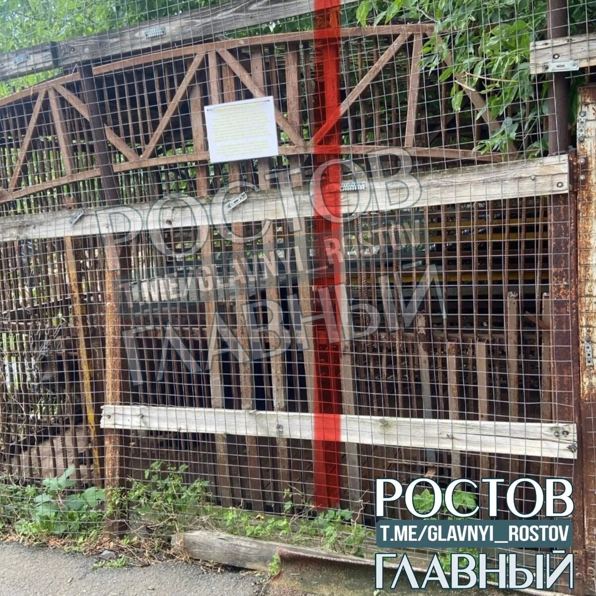    На фото и видео, размещенных в местных пабликах и СМИ видно, что бурые медведи находятся в клетках, сваренных из арматуры   /ok.ru/rostovglavnyi/