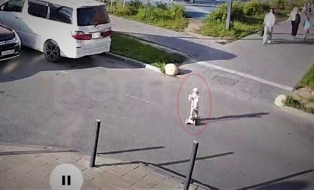    Кадр из видео