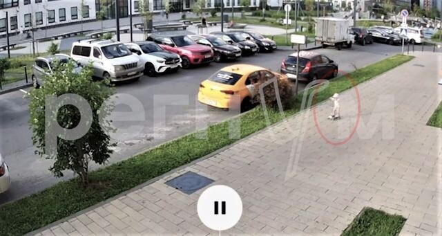    Кадр из видео