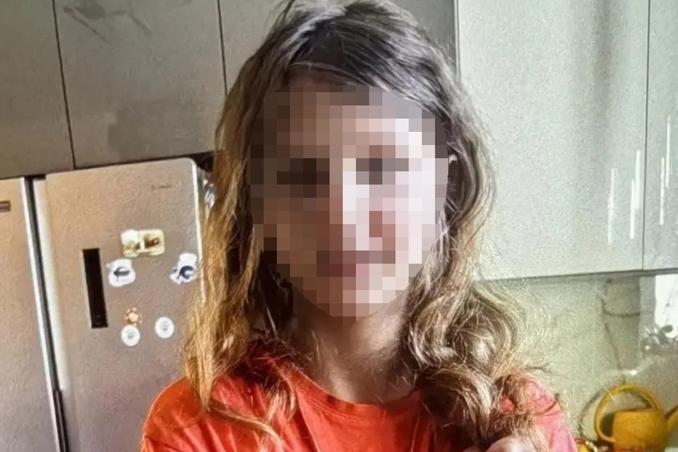    Девочка отдыхала в садоводстве с родителями. Ее семья - благополучная. Фото: "ЛизаАлерт"