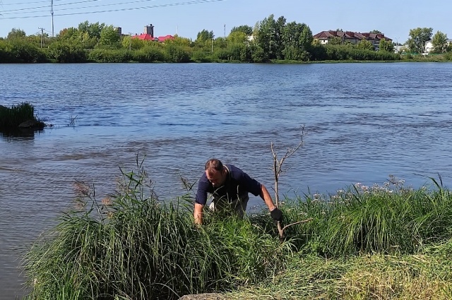    Кадры с места, где обнаружили тело девочки. Фото: Из личного архива/ Вадим Бегун