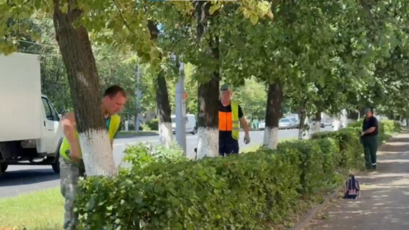    Фото: администрация города Владимира