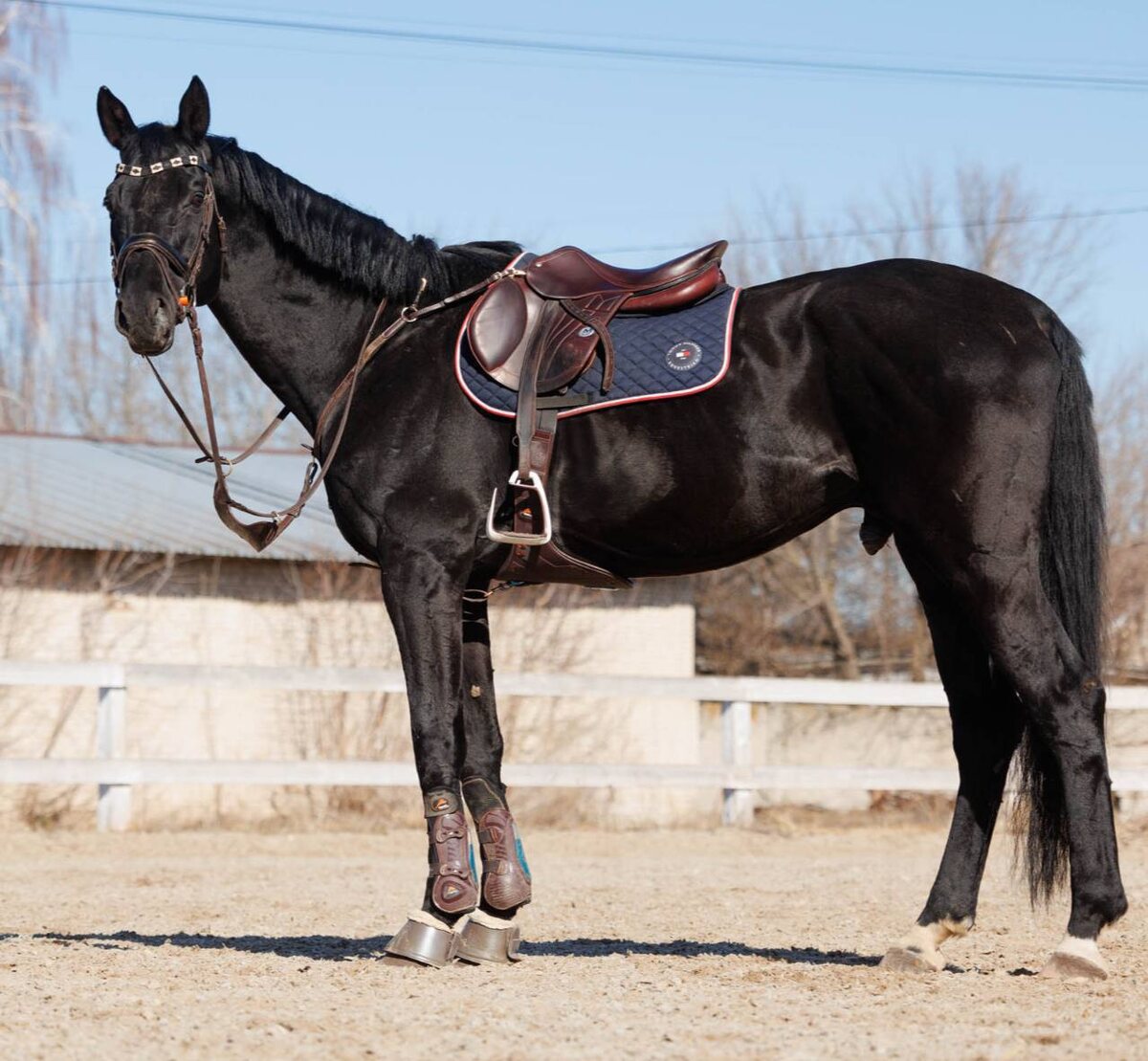 -2