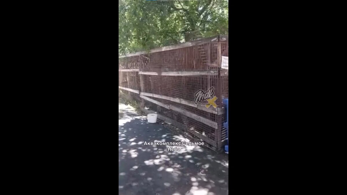    Фото: ТГ канала MDK Ростов