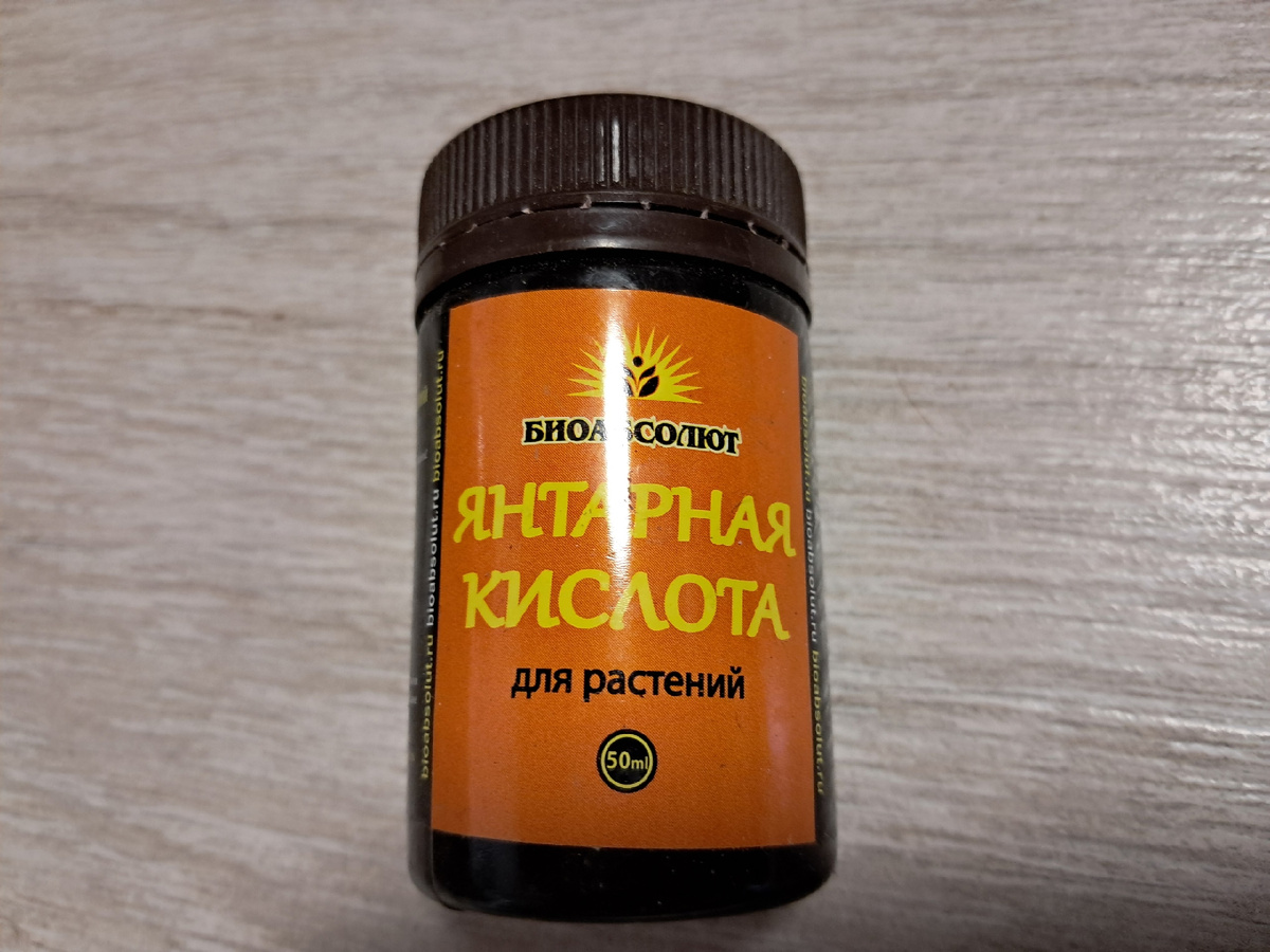 Янтарная кислота