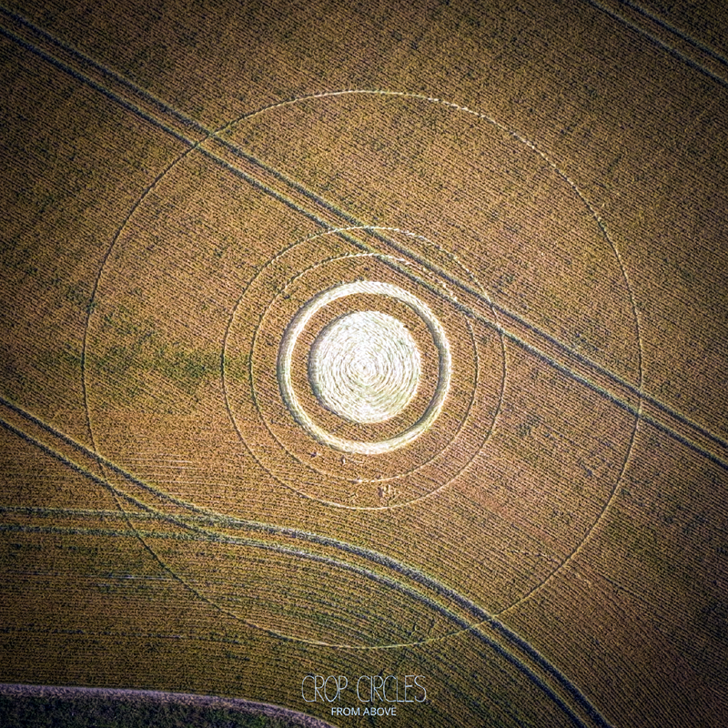 3.07.2026 г.  Круги на полях Англии. Оксфордшир. https://www.cropcircleconnector.com/2026/alfred/alfred2026a.html