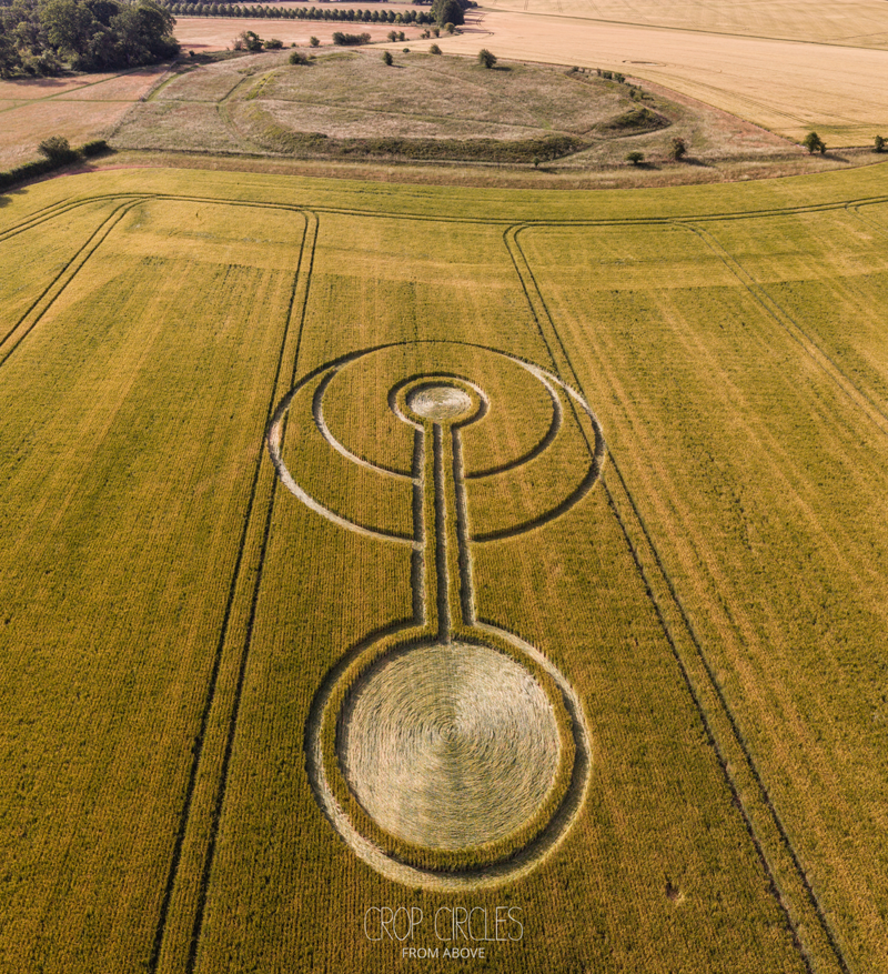 3. 07.2026 г. Круги на полях Англии. Оксфордшир. Ссылка: https://www.cropcircleconnector.com/2026/alfred/alfred2026a.html
