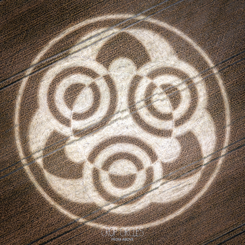 4.07.2026 г Круги на полях Англии. Графство Уилтшир. Ссылка: https://www.cropcircleconnector.com/2026/lion/lion2026a.html