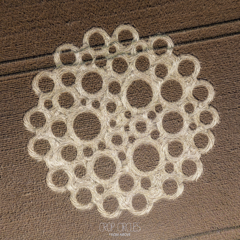 5.07.2026 г. Круги на полях Англии, графство Уилтшир. Ссылка: https://www.cropcircleconnector.com/2026/zeals/zeals2026a.html