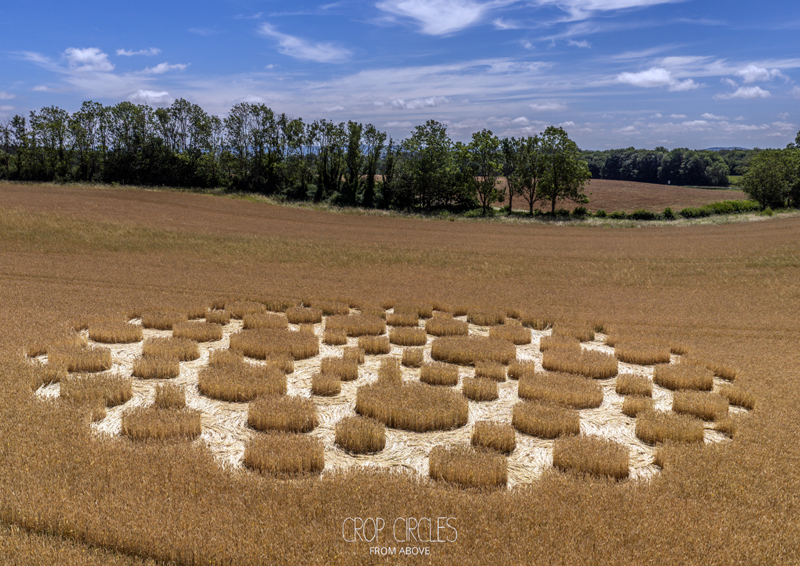 5.07.2026 г. Круги на полях Англии, графство Уилтшир. Ссылка: https://www.cropcircleconnector.com/2026/zeals/zeals2026a.html