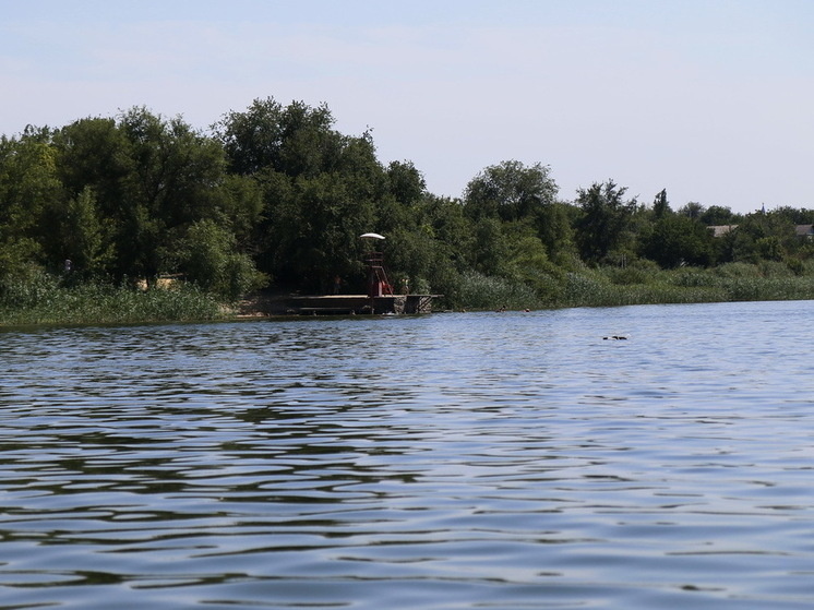   Николай Ткаченко