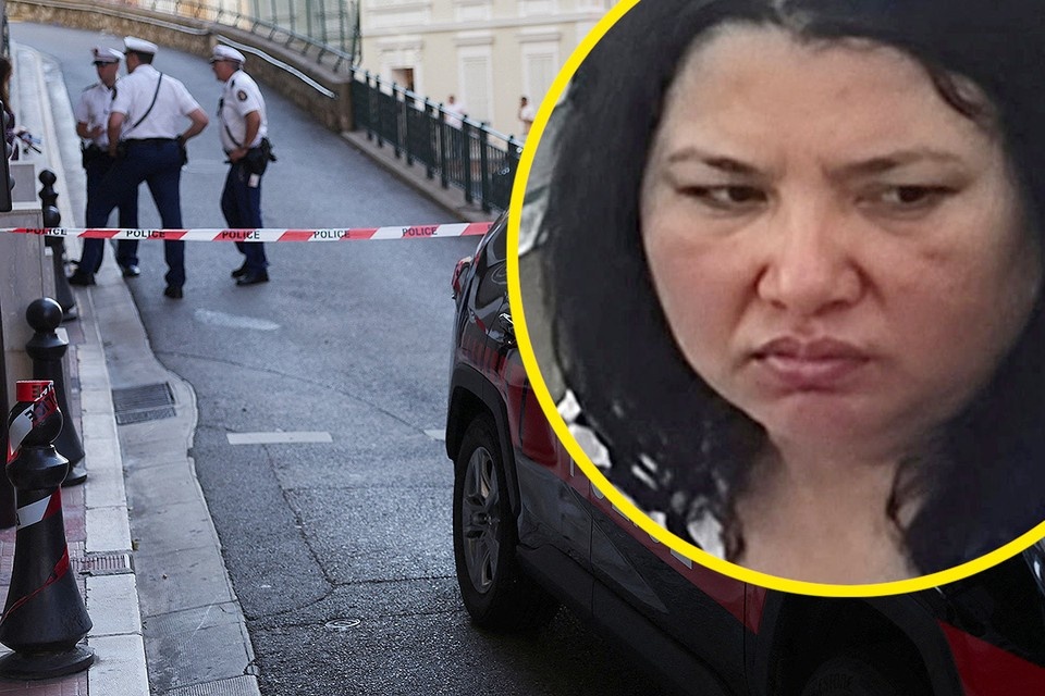    Следователи проследили путь Березовской от места преступления до Германии, где она жила в последнее время. REUTERS