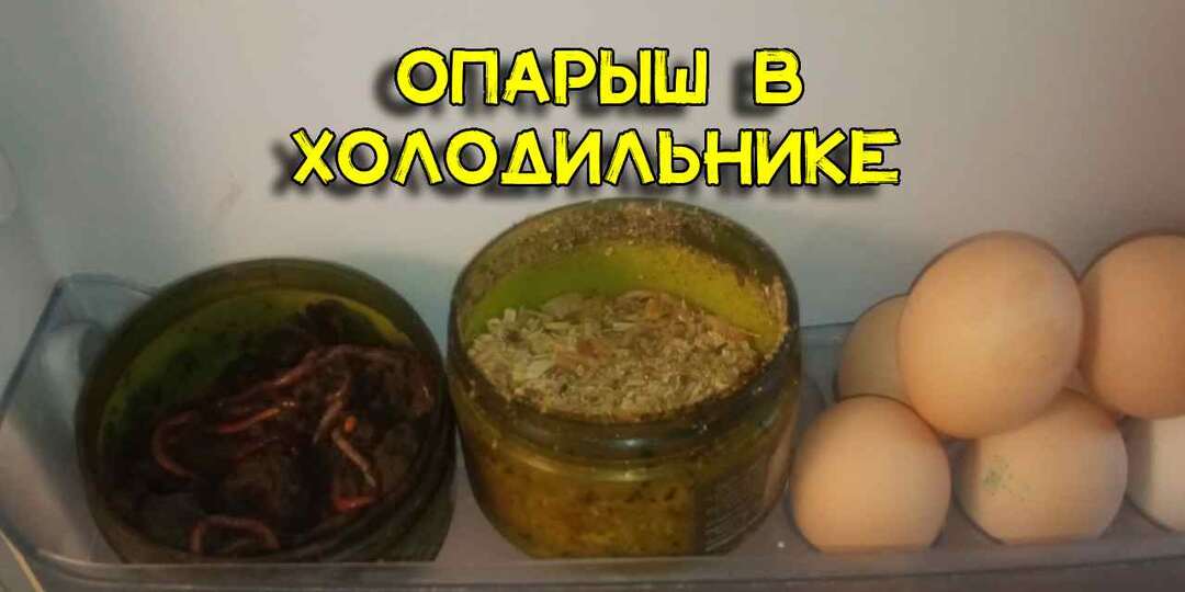 Моя жена запрещала хранить опарыша в холодильнике. Я нашел выход. Теперь опарыш всегда свежий и жена довольна