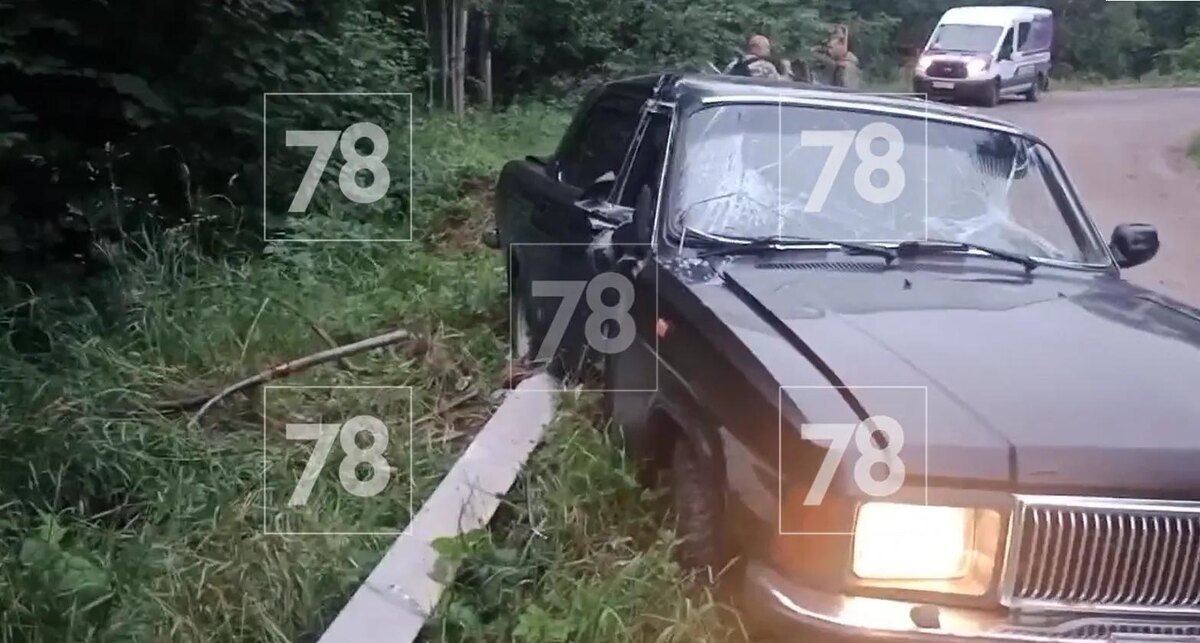    Фото: 78.ru