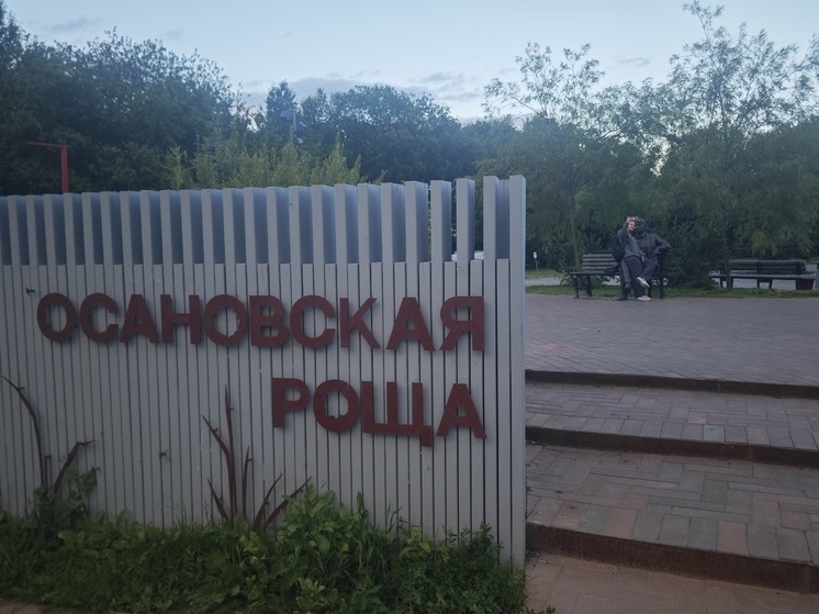     фото: мк в вологде