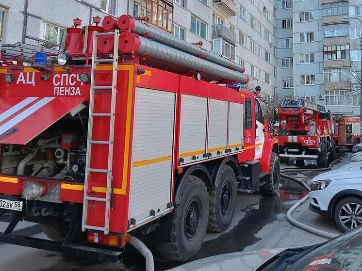     Фото: МК в Пензе