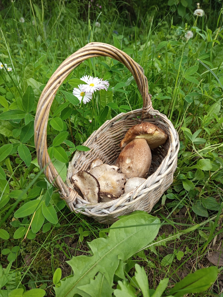 Первая декада июня.
