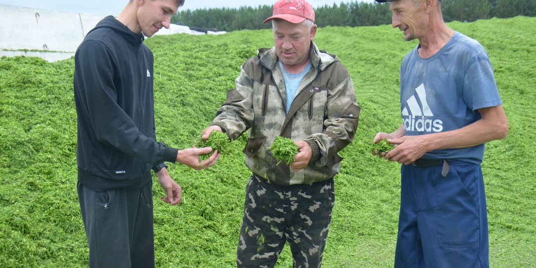 Заготовка кормов в Агрызском районе: дожди мешают, но темп не сдают