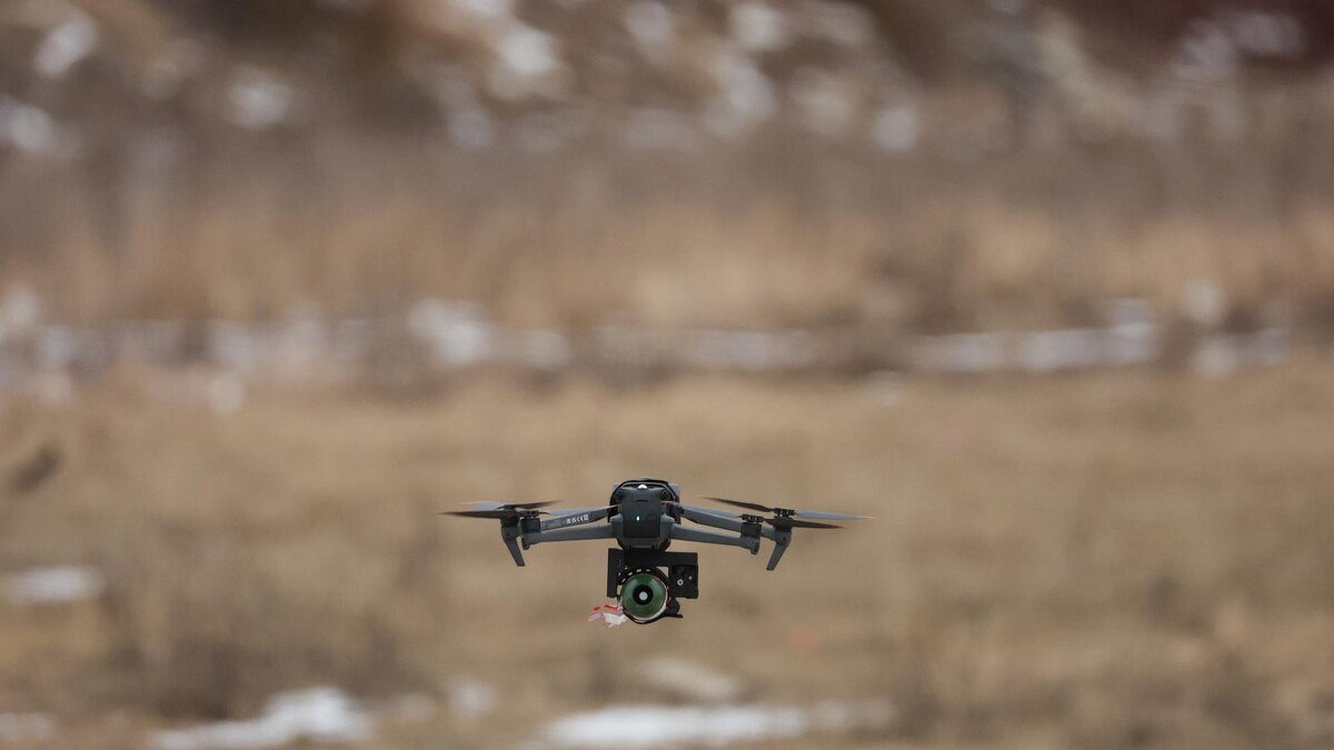    Фото: Belkin Alexey/news.ru