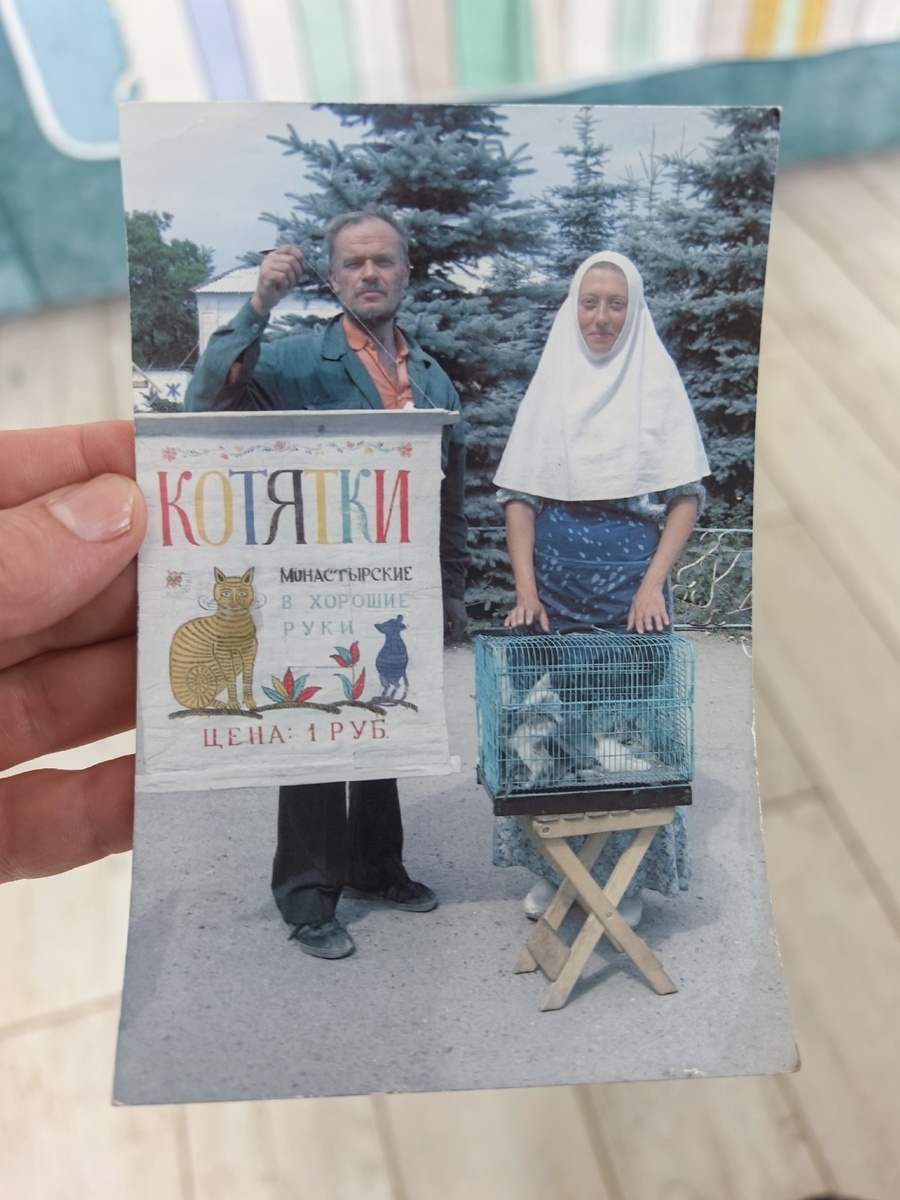 Нашла фотографию.