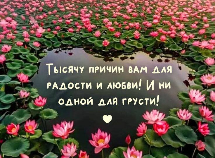 Погодные качели, что будет дальше