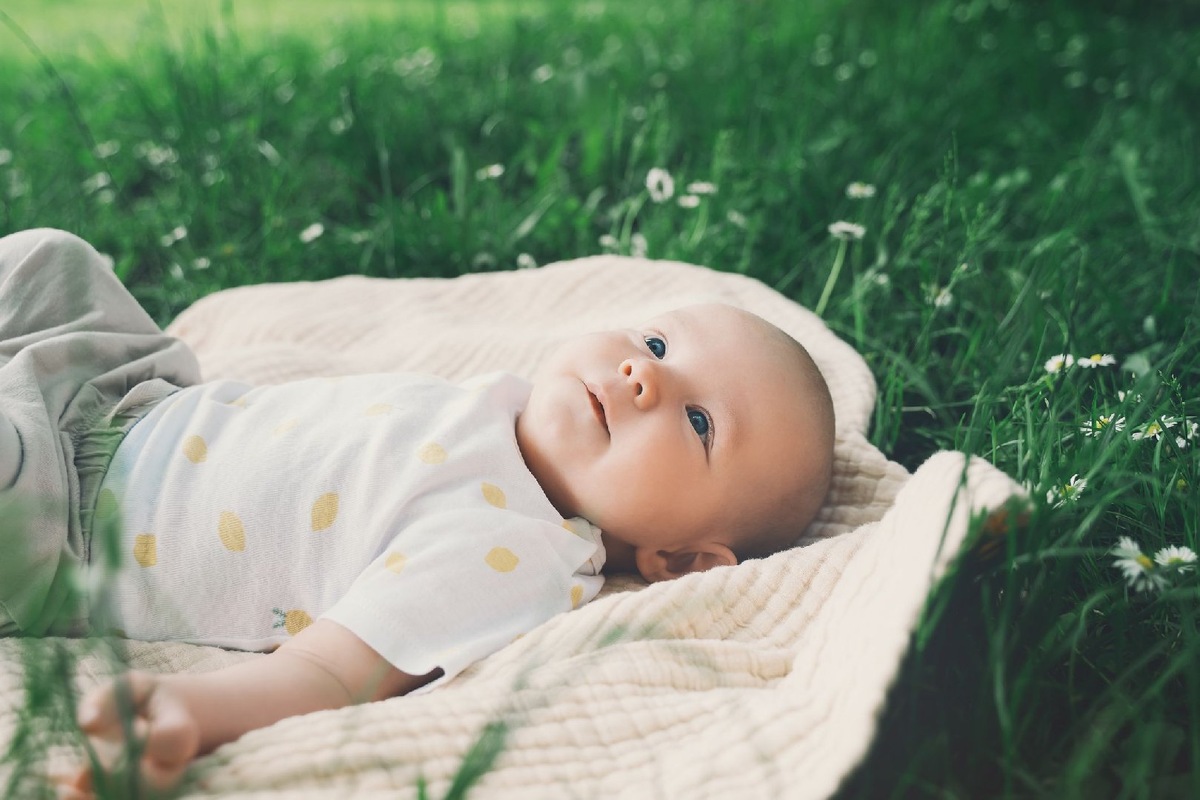    Фото: Istock/NataliaDeriabina