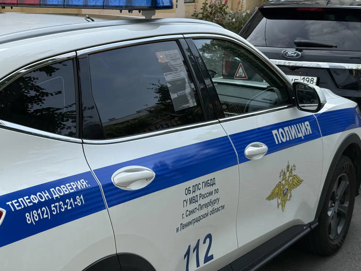     Возбуждено уголовное дело по статье о вандализме. Фото: архив "МК в Питере"