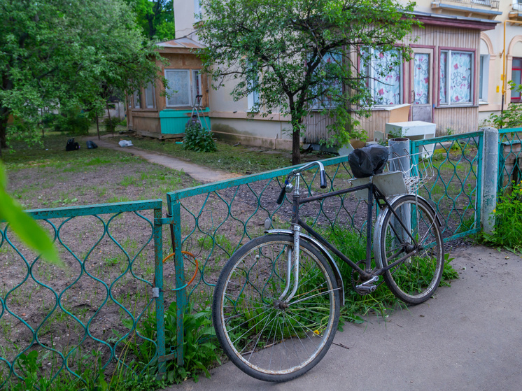   Ольга Шуклина