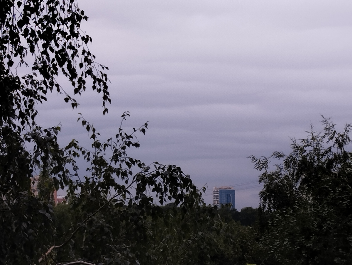 04.07.2026 г, суббота. Московское время около 08:00.. Вид из моего окна. ЗДЕСЬ и далее фото автора и(или) из личного архива автора, если не указано иначе.