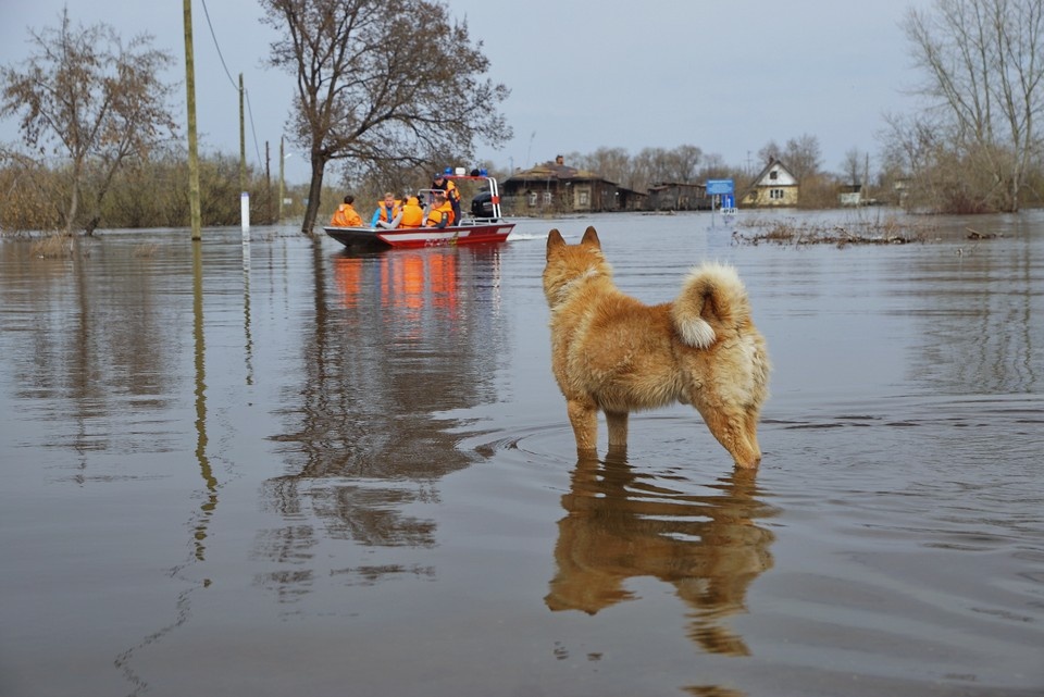    Ситуация с уровнем воды начинает улучшаться Алексей БУЛАТОВ